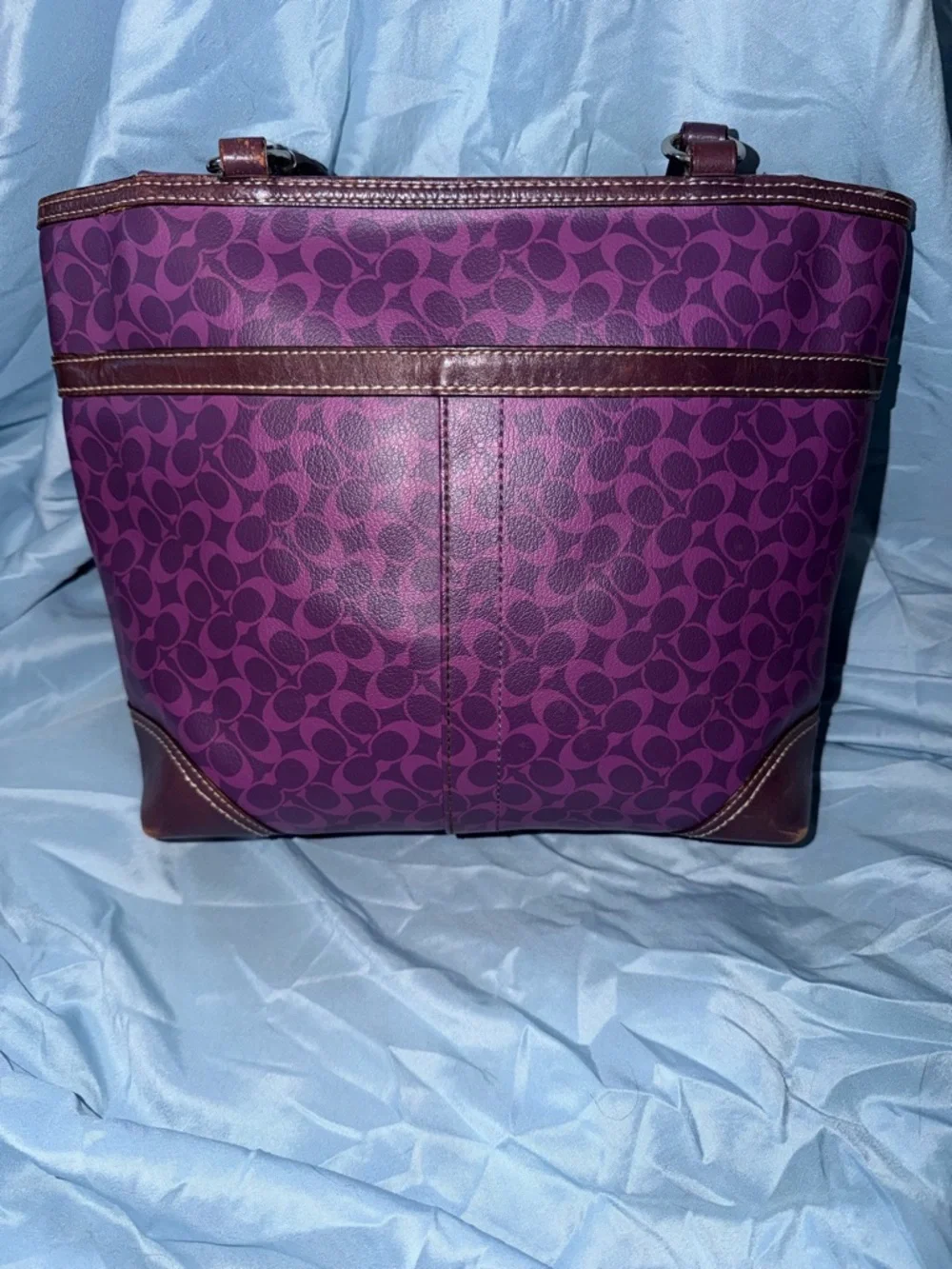 Coach 2010 Purple Signature Stripe Tote Bag - Picture 5 of 12